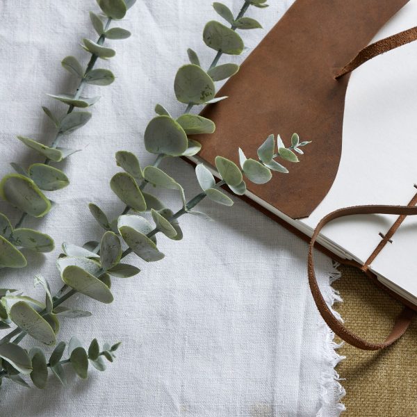 Gunnii Blue Eucalyptus Spray 4