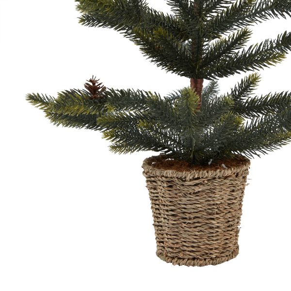 Medium Spruce Tree With Wicker Basket 2