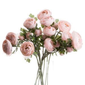 Pastel Pink Ranunculus 2
