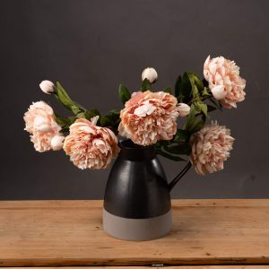 Peach Peony Rose 5