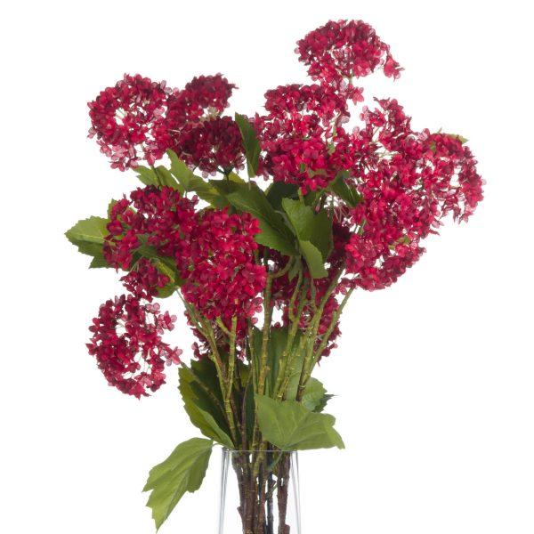 Red Autumnal Viburnum 2