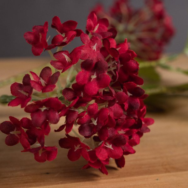 Red Autumnal Viburnum 3