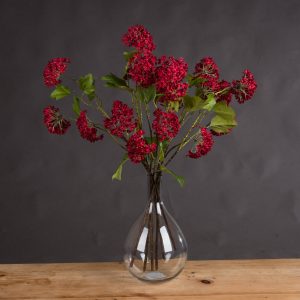 Red Autumnal Viburnum 5