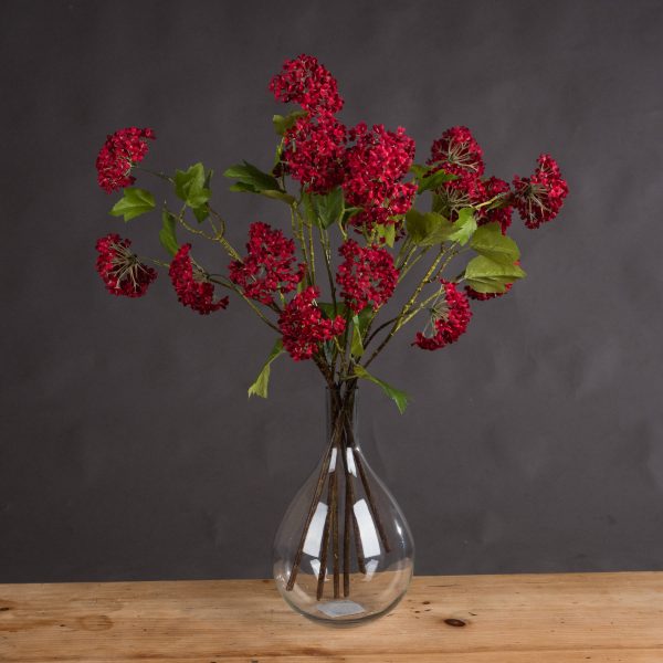 Red Autumnal Viburnum 5