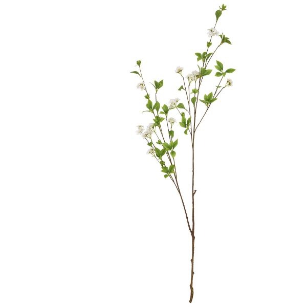 Tall Mock Orange Spray 2