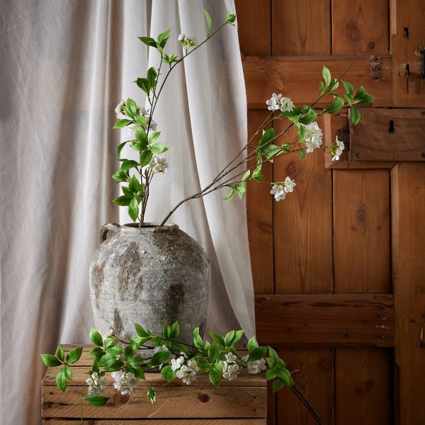 Tall Mock Orange Spray 3