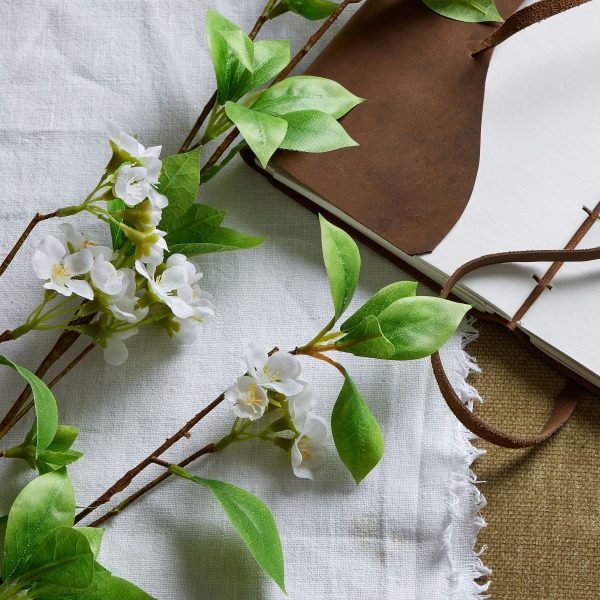 Tall Mock Orange Spray 4