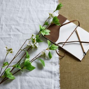 Tall Mock Orange Spray 5