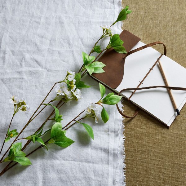 Tall Mock Orange Spray 5
