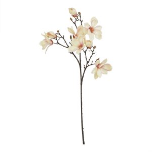 The Natural Garden Collection Pale Apricot Magnolia Stem 2