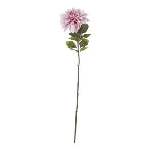 The Natural Garden Collection Pink Dahlia 3