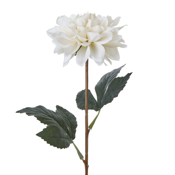 The Natural Garden Collection Tall White Dahlia 2