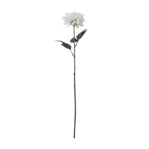 The Natural Garden Collection Tall White Dahlia 3
