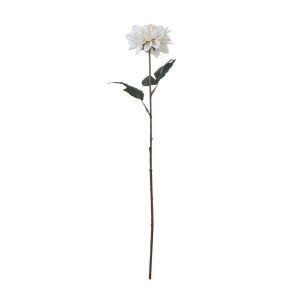 The Natural Garden Collection Tall White Dahlia 3