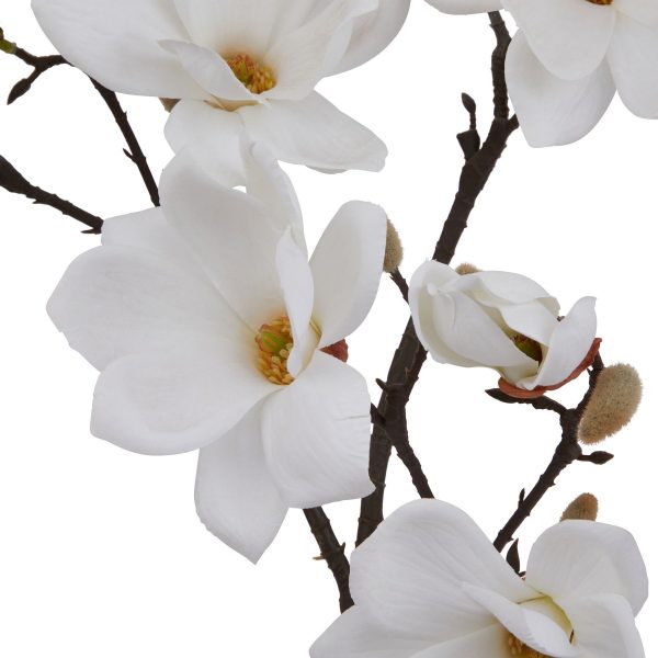 The Natural Garden Collection White Magnolia Stem 2