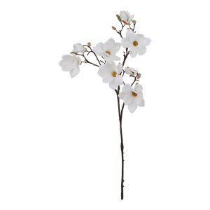 The Natural Garden Collection White Magnolia Stem 3