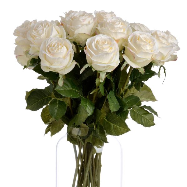 Traditional White Rose 2