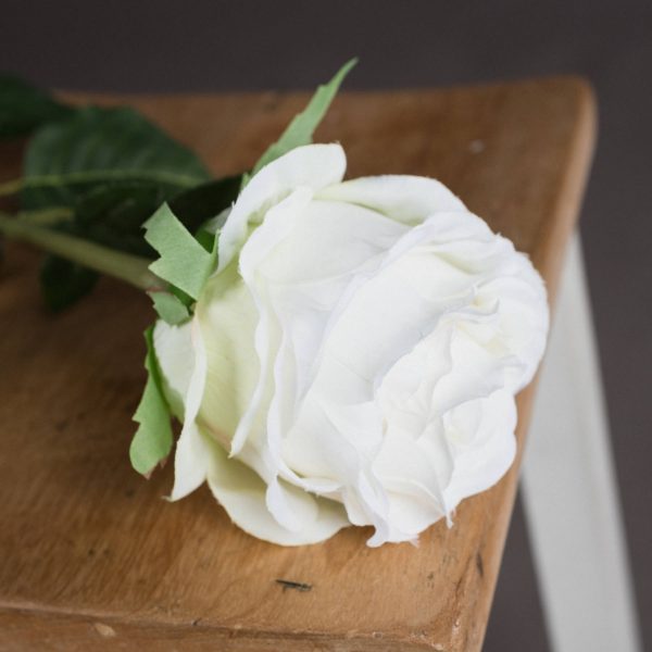 Traditional White Rose 3