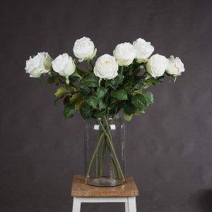 Traditional White Rose 5
