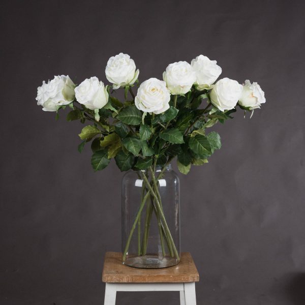 Traditional White Rose 5