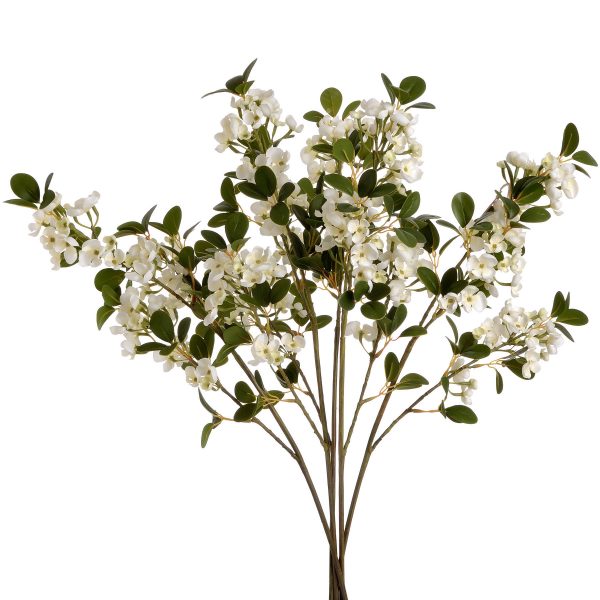 White Spring Mock Orange Flower 2