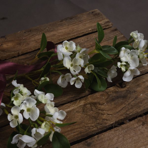 White Spring Mock Orange Flower 3