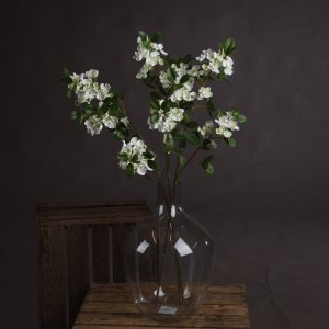 White Spring Mock Orange Flower 5
